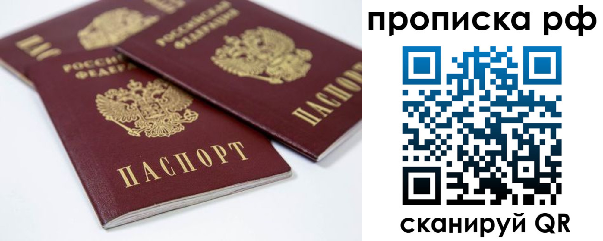 временная регистрация 2025 в Елизово